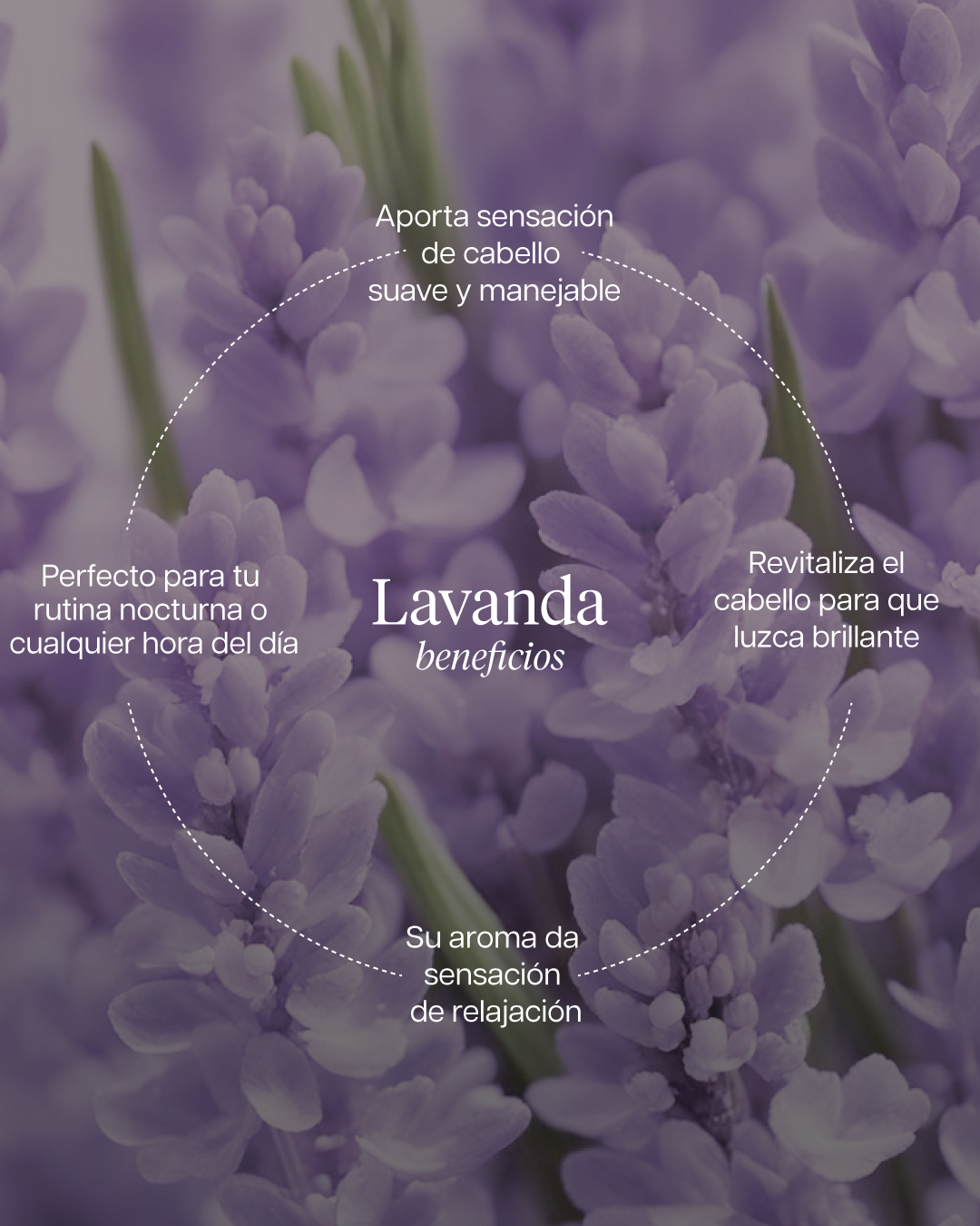 Lavender hair oil