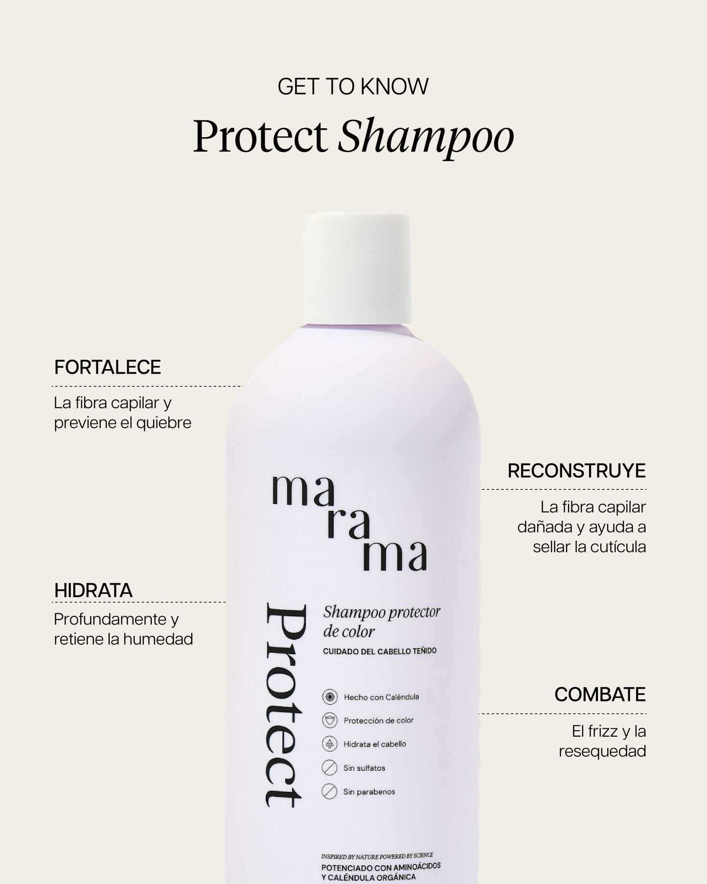 PROTECT SHAMPOO