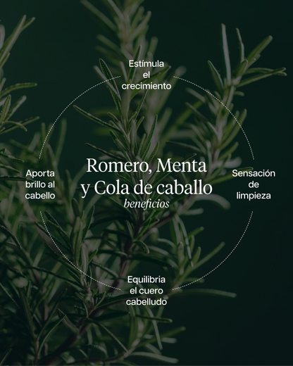 RECONSTRUCTOR CAPILAR REVIVAL